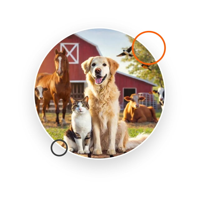 Medicina veterinária